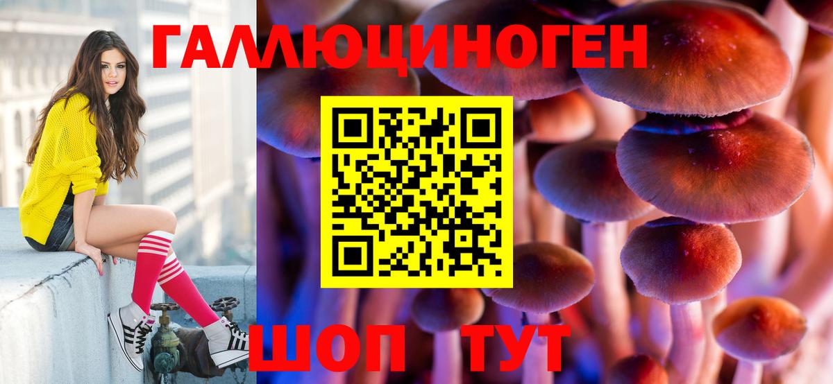 Борзя  Псилоцибиновые грибы ЛСД  Псилоцибиновые грибы мицелий  Вход с VPN 